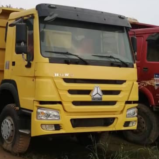 HOWO 4×2 Dump Truck (2)