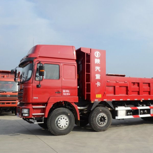 SHACMAN X3000 8×4 Dump Truck (2)